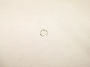 Image of Gasket ring image for your 1995 BMW